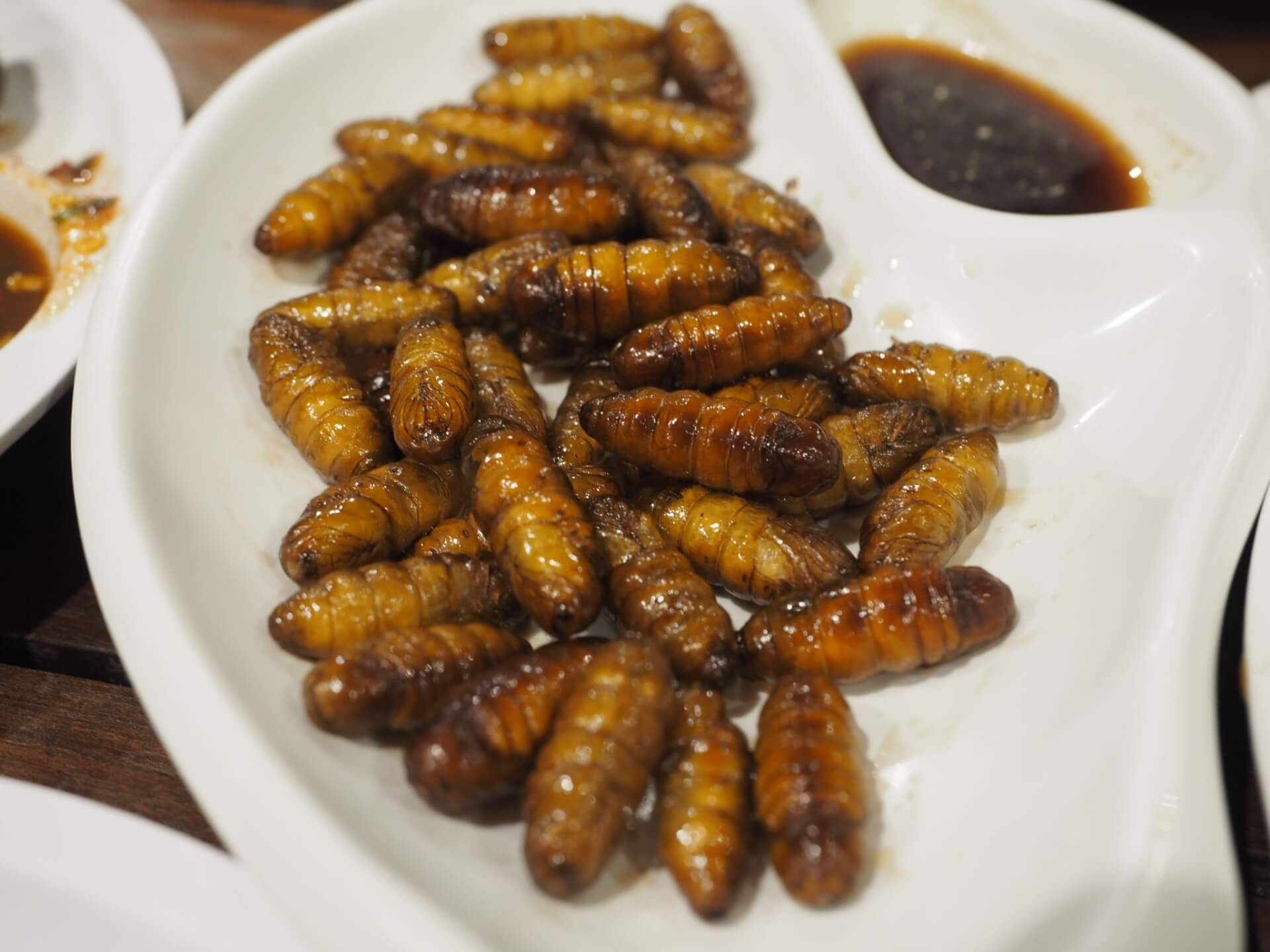 连云港有一种由虫子制成的美食，只有胆子大的人才能品尝它的鲜美_豆丹