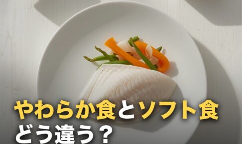 やわらか食・ソフト食・ムース食・きざみ食の違い早見表｜選び方の基準