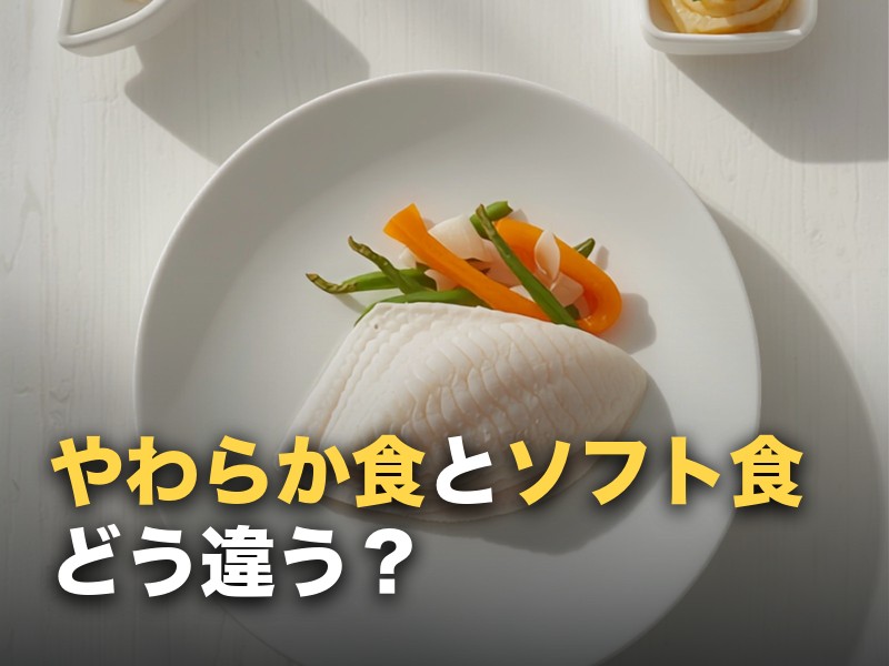 やわらか食・ソフト食・ムース食・きざみ食の違い早見表|選び方の基準