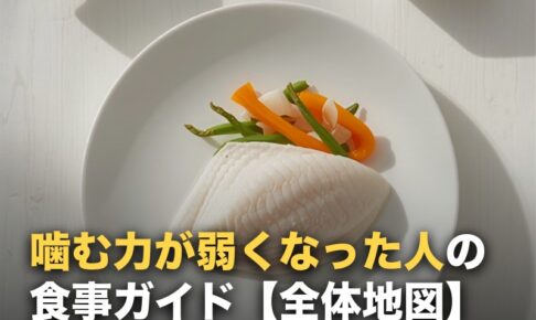噛む力が弱くなった人の食事ガイド｜市販・宅配・選び方の全体地図