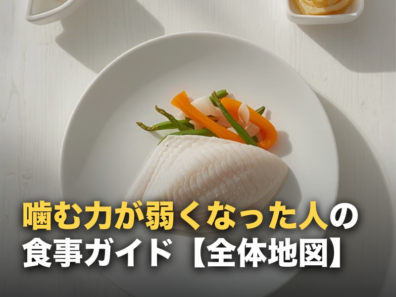 噛む力が弱くなった人の食事ガイド｜市販・宅配・選び方の全体地図